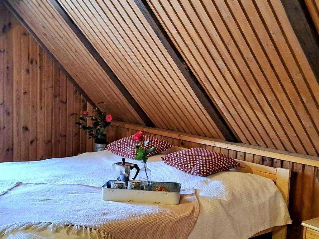 Lichtenberg/ Svetlik